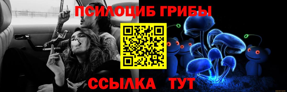 Галлюциногенные грибы прущие грибы Вичуга